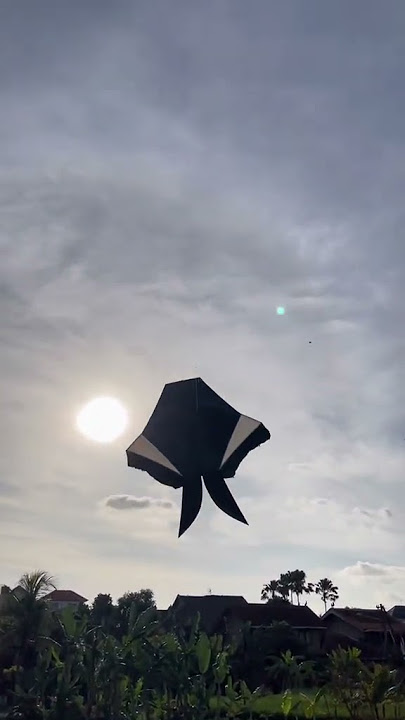 Download lagu 'TUAN KRABS' LAYANGAN COTEK BLOLONG GANTENG MENGUDARA‼️