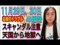 11月29日、30日の運勢 十二支別 【お金のトラブル】【スキャンダル注意】【天国から地獄へ】