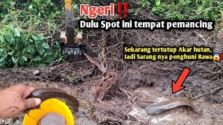 Download Lagu Ngeri‼️Dulu Spot ini tempat pemancing||Sekarang tertutup akar hutan, Jadi sarang penghuni Rawa😱⁉️ MP3 Download Lagu Ngeri‼️Dulu Spot ini tempat pemancing||Sekarang tertutup akar hutan, Jadi sarang penghuni Rawa😱⁉️ MP3