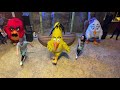 Angry Birds World Waltz Feather Live Show Doha Festival City VisitQatar Angry Birds World Waltz Feather Live Show Doha Festival City VisitQatar