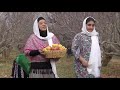 village life Iran | cooking Dolmeh #recipe