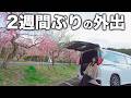 【家族全滅】旅が2週間完全停止していました