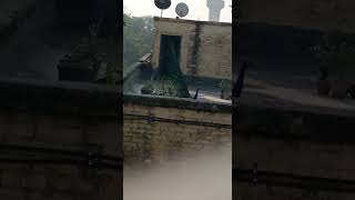 VID 20210218 WA0002