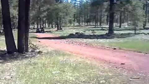 Keeanna driving the quad in Happy Jack Arizona.