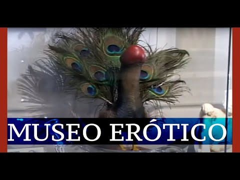 Video: Quién Atacó El Museo De La Erótica
