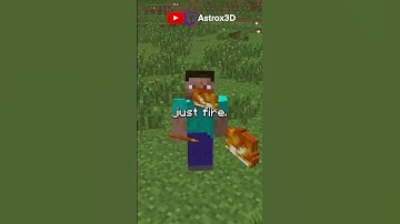 How to hold ILLEGAL items in Minecraft