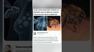 Nature's tiny heroes at work. 🐝✨ #shorts #Science #Honeybees #MedicalBreakthrough #NatureHeals