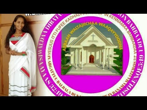 Tajaajiltootaa Fi Waldoota 