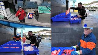 24 03 2026 Traneira De São Mateus Com Alfoucinho