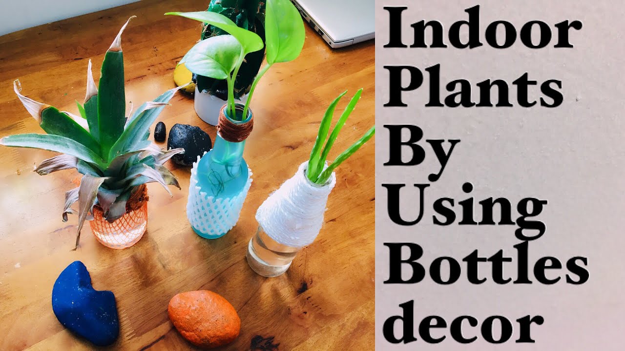 Indoor Plants By Using Glass bottles Ideas/ Decor Glass Bottles/AFZ