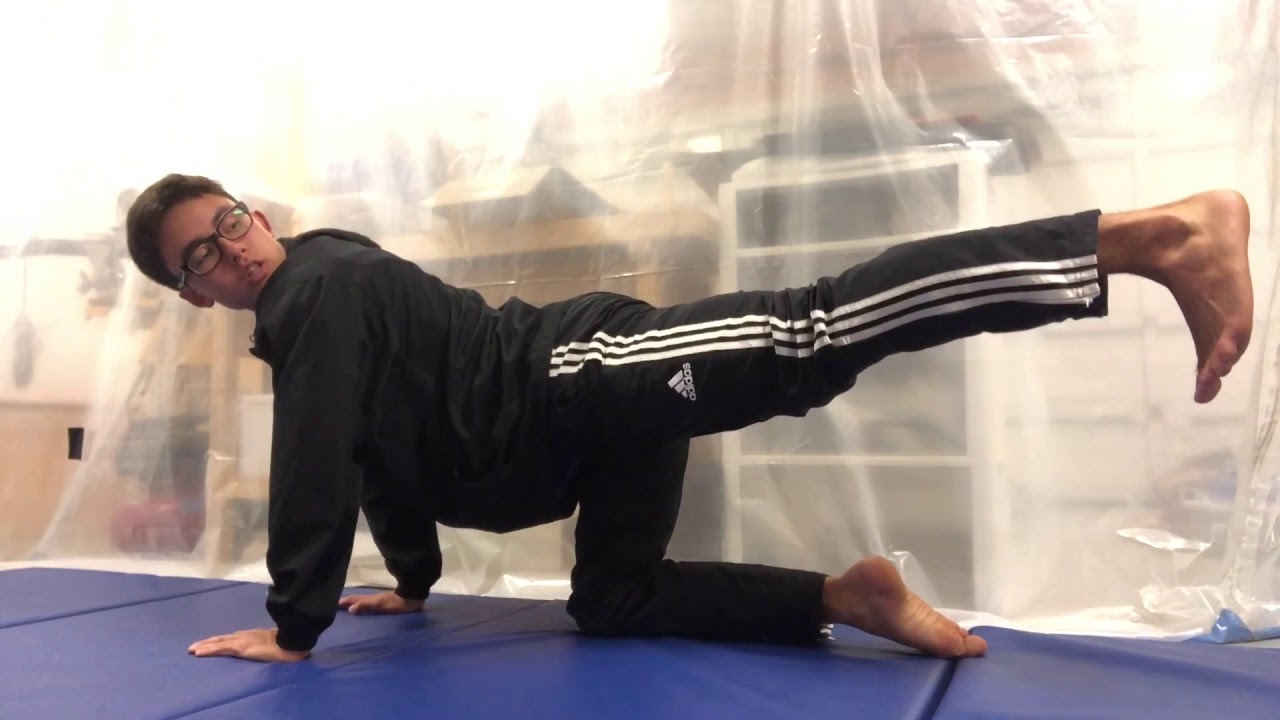 [UCLA Taekwondo] Basic Techniques - Back Stance, Outside Block, Back Kick
