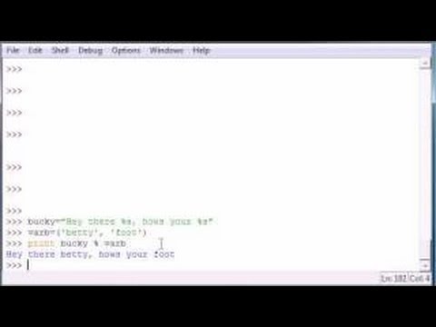 Python Programming Tutorial - 17 - Strings n Stuff