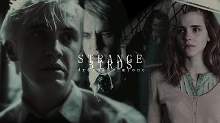 Strange Birds| Draco&amp;Hermione