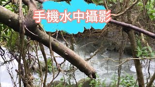 帶著寵物一起去巡水