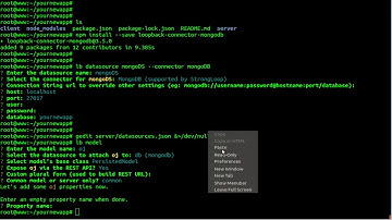 How To install LoopBack - Node.js framework with Forever Apache On Ubuntu 18.04