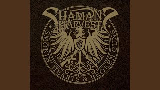 Video thumbnail of "Shaman's Harvest - Dirty Diana"