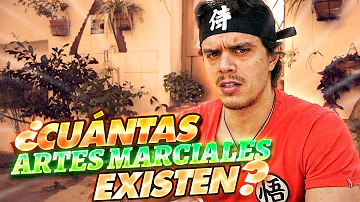 ¿Cuántas artes marciales existen?