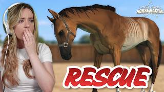RESCUING AUCTION HORSES IN RIVAL STARS! | Pinehaven screenshot 3
