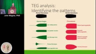 The Whole Picture: Interpretation of TEG Tracings. Coagulation factors - platelets Julie Wegner, PhD