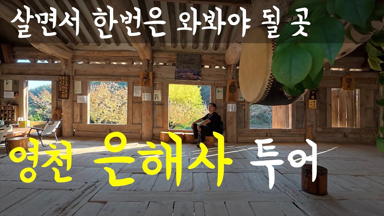 【영천 은해사】1300년된 느티나무 보고왔습니다.