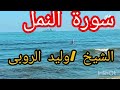 سورة النمل الشيخ وليد الروبى 