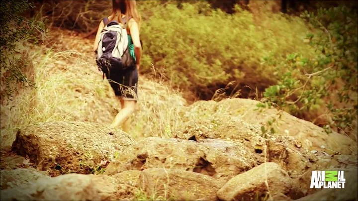 Moutain Lion Story: Shannon Parker