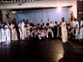 Ib capoeira