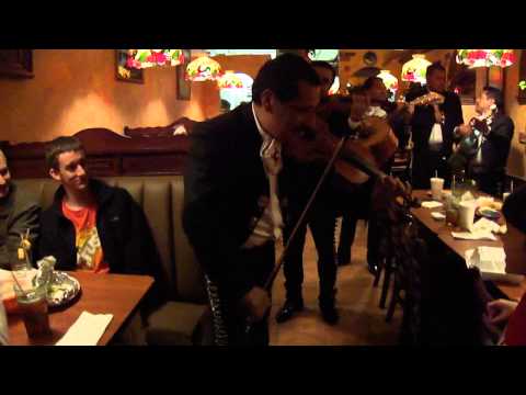 Los Portales 17th Anniversary Mariachi Band