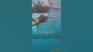 Thumbnail of Your unemployed friend on a random Tuesday 🔭🦈