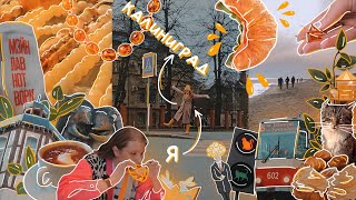 Калининград без машины за 5 дней | область, море, котики, выпечка и кофе🥨☕️ отпускной 