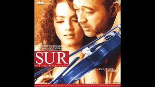 Tu Dil Ki Khushi (Sur (The Melody Of Life) / Soundtrack Version)