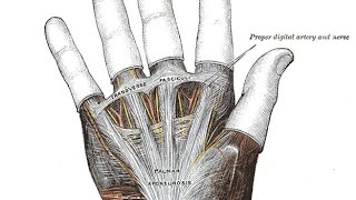 Mayfair Alcuin Stevenson & Sophie Ver.