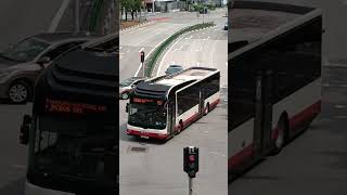 SBS Transit MAN NL323F A22 Euro 5 Batch 1 - SMB317Y 197 SBS Transit MAN NL323F A22 Euro 5 Batch 1 - SMB317Y 197