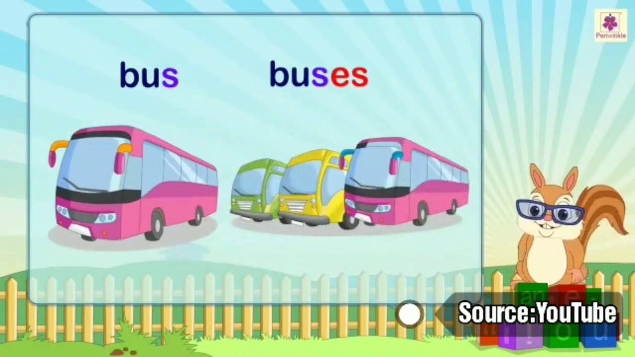 Plurale Di Bus In Inglese