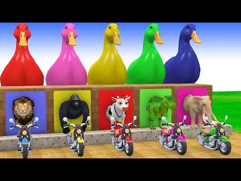 Long Slide Game With Cow Elephant Gorilla Hippopotamus Tiger 3d Animal Game Funny 3d Animals Video