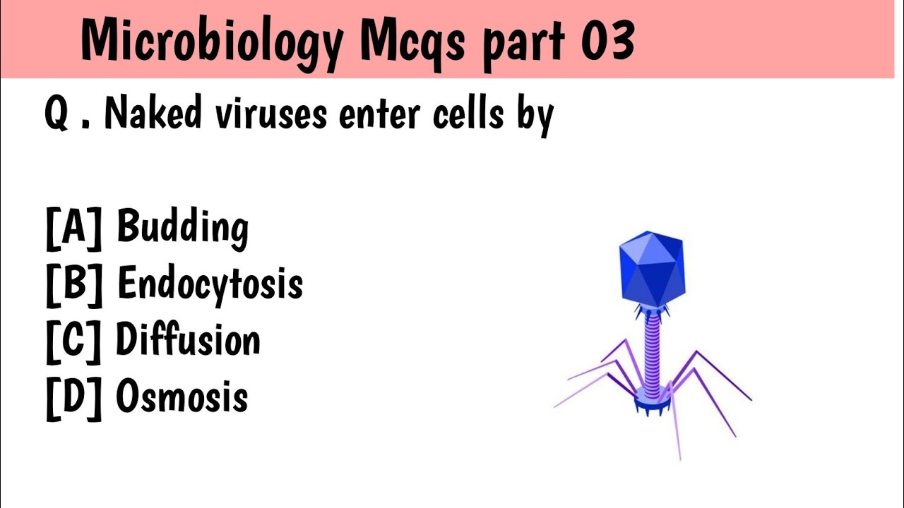Microbiology  Mcqs part 03/ Answer Question/Viruses Mcqs