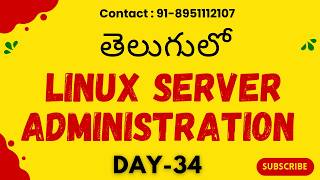 Apache Web Server Setup: DNS మరియు Alias సెటప్ చేయడం ఎలా (Telugu)