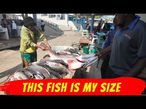 I WENT TO THE LARGEST FISH MARKET IN HOMA BAY BIGGEST FISH IV E SEEN 