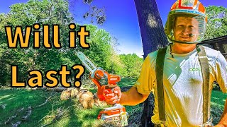 Ultimate test with Electric Pruning  Saw - Echo 3006 - Tree Removal