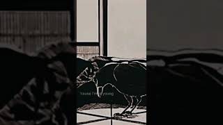 cause Im A Young Man Built To Fall demonslayer anime animeedit editsad