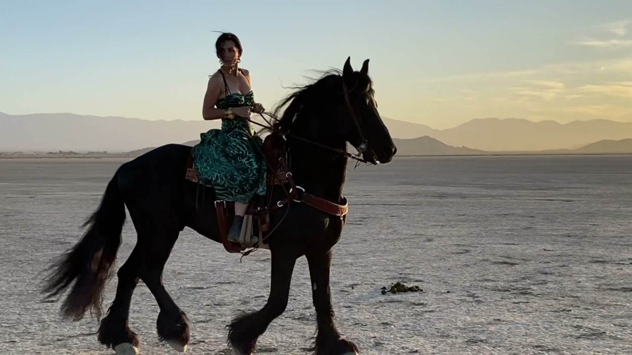 FOUR LEGS ON SET - Friesian stallion in Monique Benabou Long music video stunt Carlotta Montanari