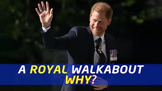 What do Americans think about Prince Harry now ?
