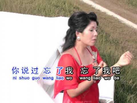 第二梦 DI ER MENG FEMALE KARAOKE R/L