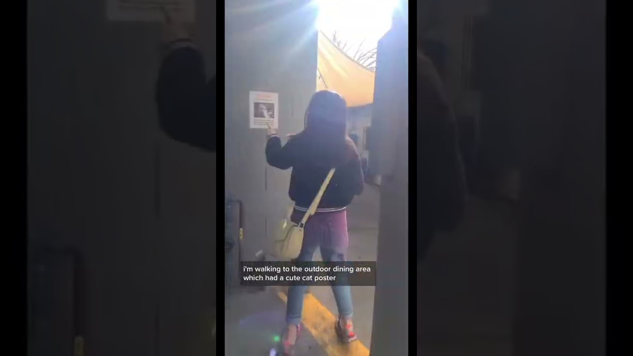 the BEST Vegan Nachos I’ve Had! (@Highland Cafe in Highland Park, LA)