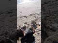 تراث الحيه بيه