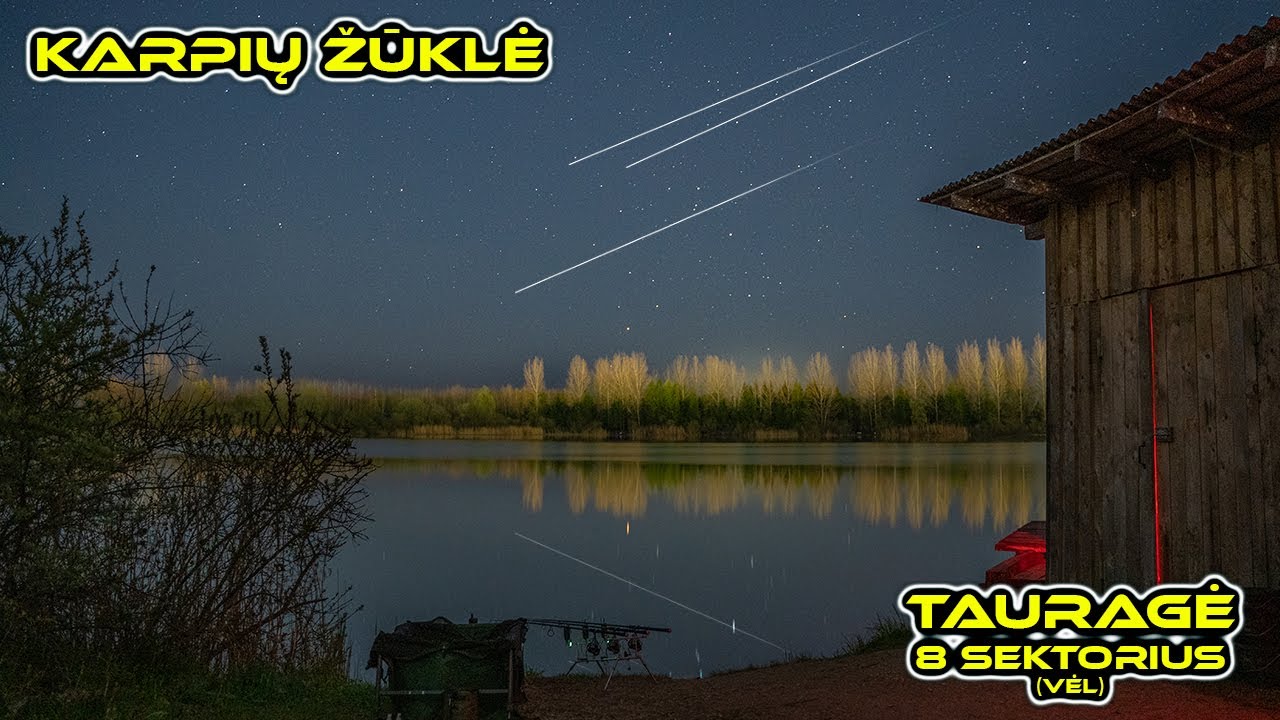 Karpių žvejyba. Tauragė - 8 sektorius (Gegužės pradžia). (Carp Fishing @ Taurage)