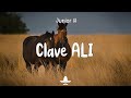 Junior H - Clave ALI (Letra) | Baila Me