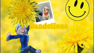 Dandelions||Bday Edit|| Ib: