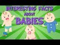 Fakta Menarik tentang Bayi | Video Edukasi untuk Anak-Anak.