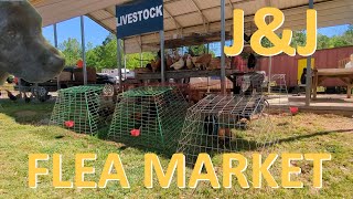 Video A Day - 26 - J&J Flea Market